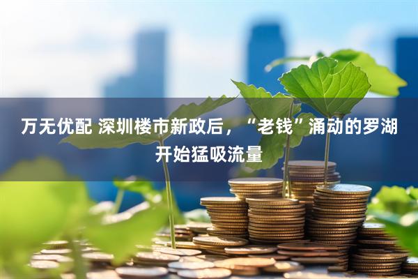 万无优配 深圳楼市新政后，“老钱”涌动的罗湖开始猛吸流量