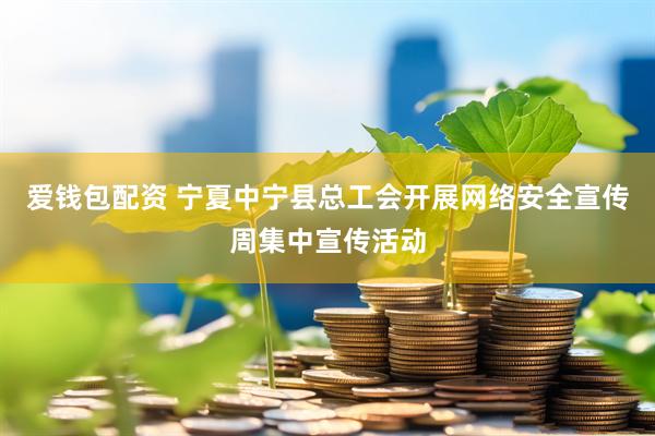 爱钱包配资 宁夏中宁县总工会开展网络安全宣传周集中宣传活动